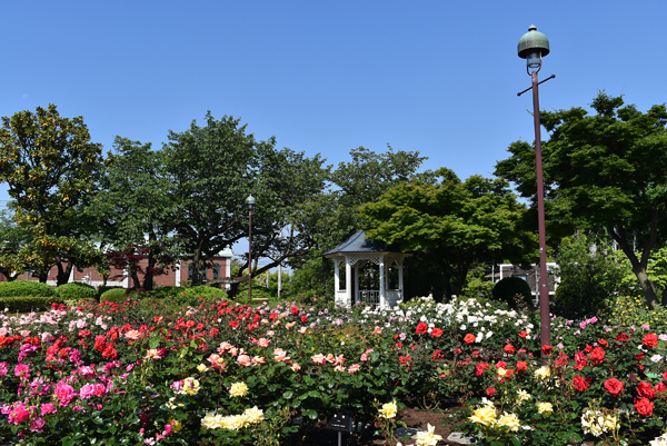 150510 minato DSC_0098.jpg